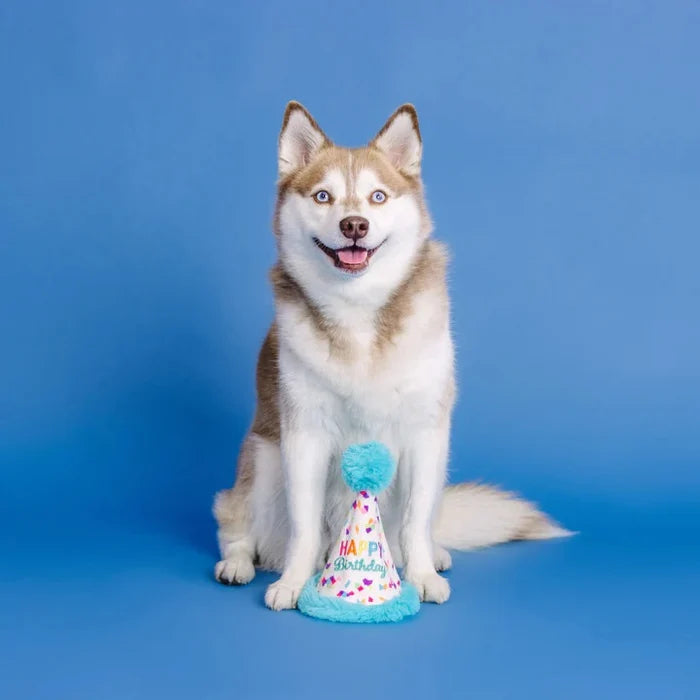 PetShop by Fringe Yappy Barkday Rubber/Plush Dog Toy