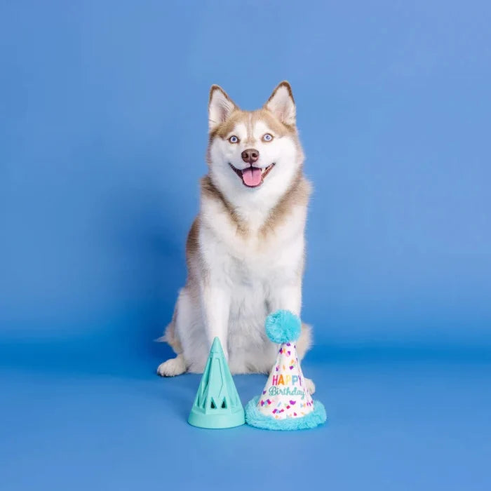 PetShop by Fringe Yappy Barkday Rubber/Plush Dog Toy