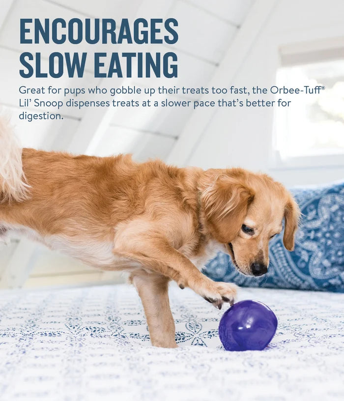 Planet Dog Orbee-Tuff Lil Snoop Interactive Treat-Dispensing Dog Toy Purple