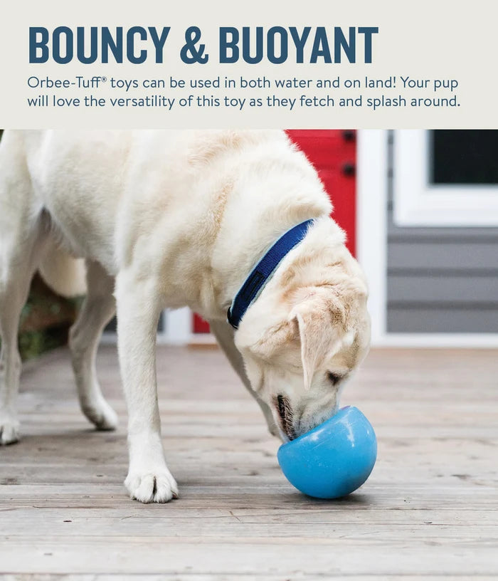 Planet Dog Orbee-Tuff Snoop Interactive Treat-Dispensing Dog Toy Blue