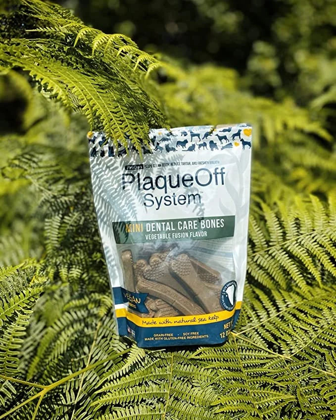 PlaqueOff - MINI Dental Care Bones - Vegetable Fusion