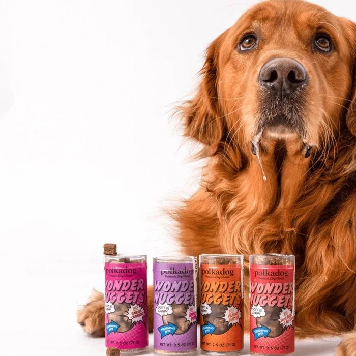 Polkadog Wonder Nuggets Training Bits Peanut Butter Soft & Chewy Dog Treats Mini Tube 2.5oz