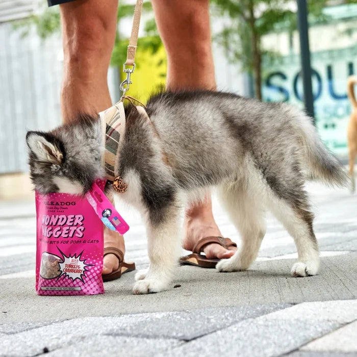Polkadog Wonder Nuggets Training Bits Turkey & Cranberry Soft & Chewy Dog and Cat Treats 10oz