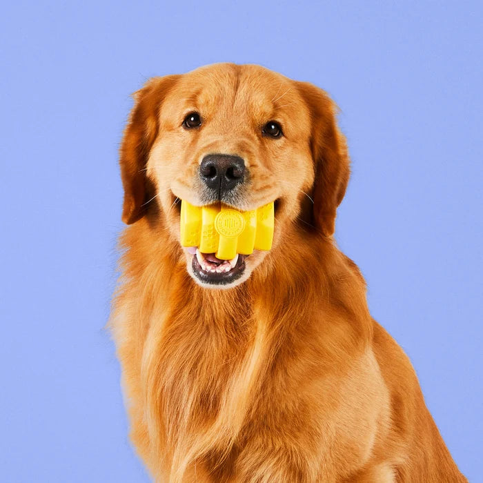 Project Hive Chew Toy Yellow Large