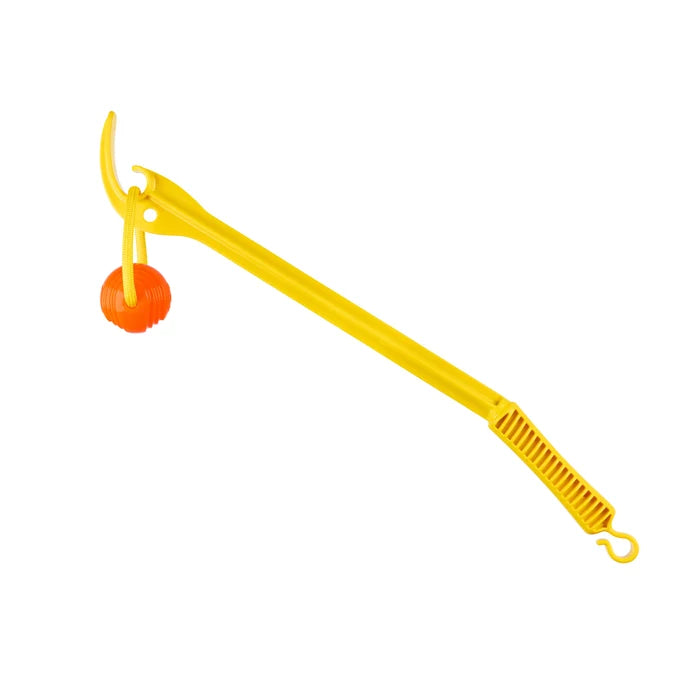 Project Hive Hive Zoomer and Ball Dog Fetch Toy