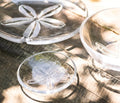 Sand Dollar Bowl, Medium - touchGOODS