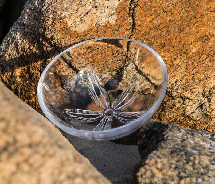 Sand Dollar Bowl, Medium - touchGOODS