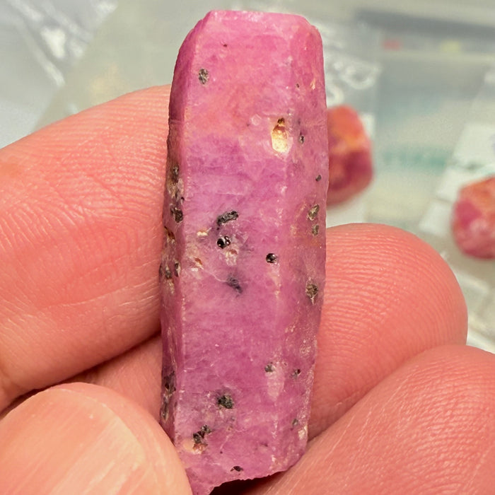 Sapphire Crystal, 6.90gm, Dodoma, Tanzania, Untreated Unheated