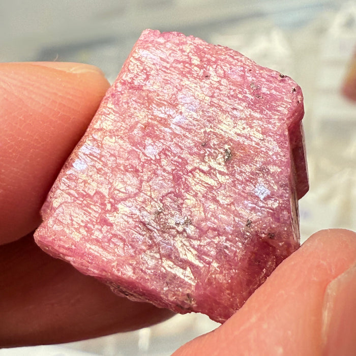 Sapphire Crystal, 8.20gm, Dodoma, Tanzania, Untreated Unheated