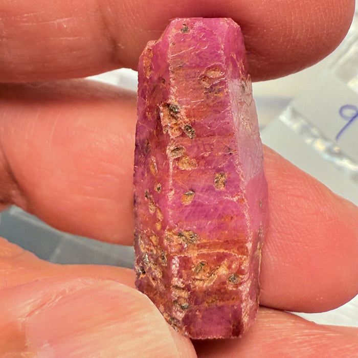 Sapphire Crystal, 9.70gm, Dodoma, Tanzania, Untreated Unheated