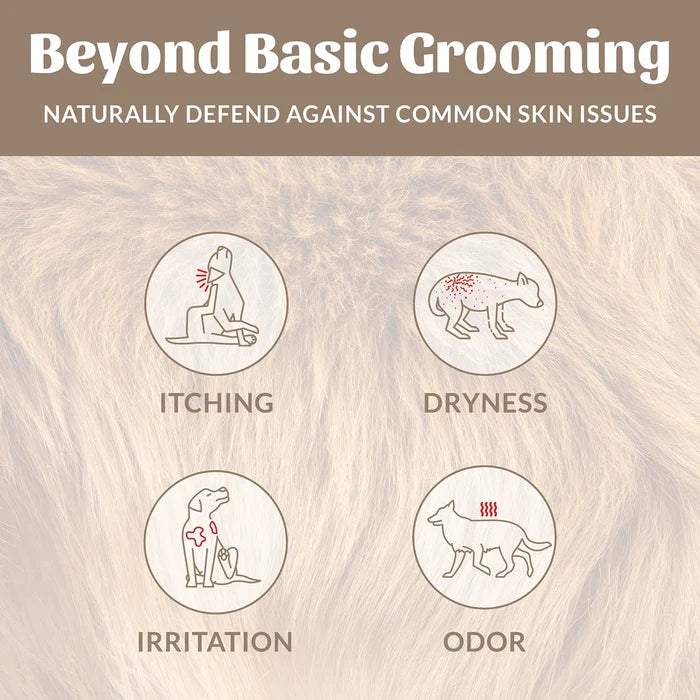Skout's Honor Probiotic Shampoo + Conditioner Dog of the Woods 16 oz