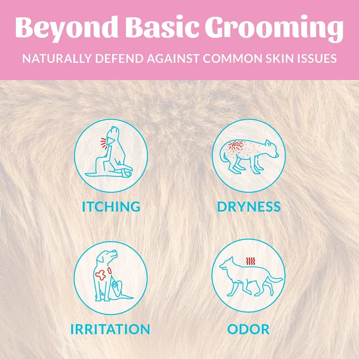 Skout's Honor Probiotic Shampoo + Conditioner Happy Puppy 16 oz