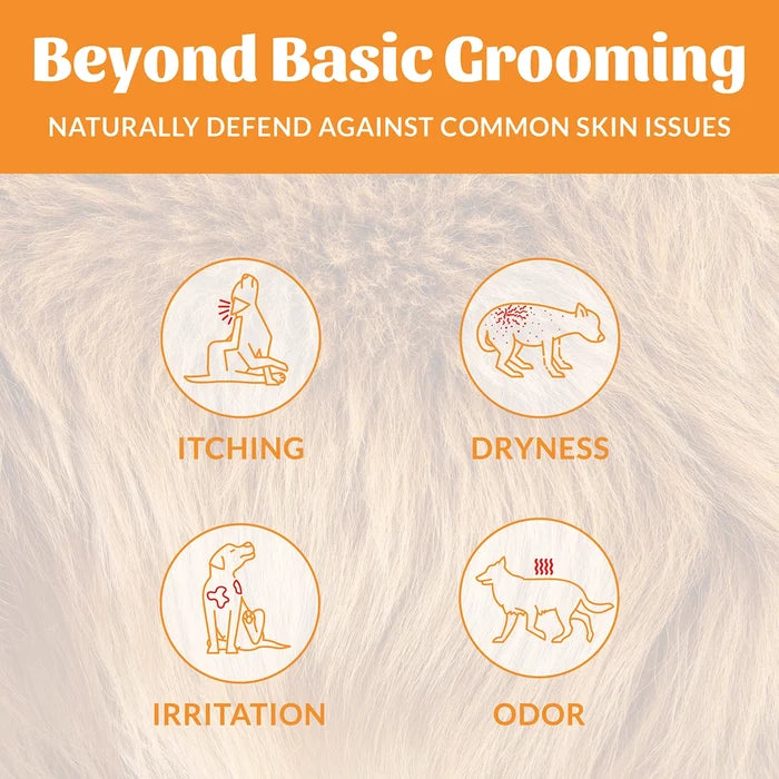 Skout's Honor Probiotic Shampoo + Conditioner Honeysuckle 16 oz