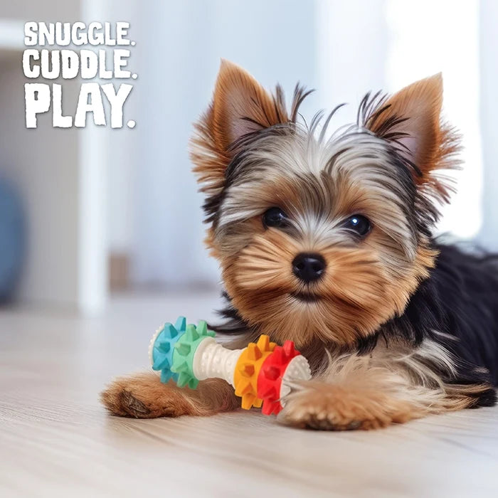 SnugArooz Shake It Off Dog Chew Toy Multicolored 5"