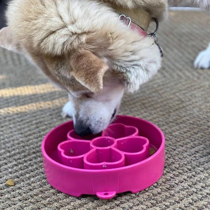 SodaPup Flower eBowl Enrichment Slow Feeder Bowl Pink 8"