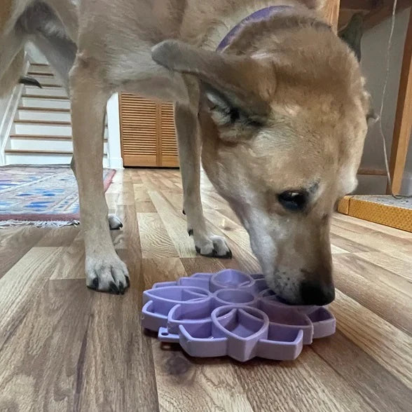 SodaPup Mandala Softie eTray Enrichment Feeder for Dogs Pastel Purple 8"