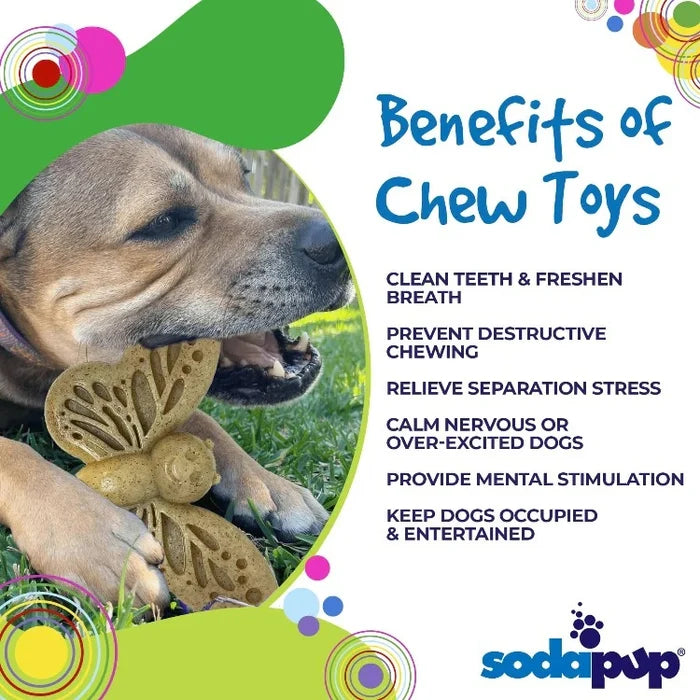 SodaPup Nylon Butterfly Dog Chew Toy Brown