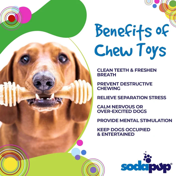 SodaPup Nylon Honey Bone Dog Chew Toy XL