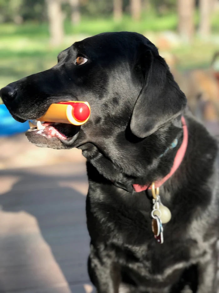 SodaPup Nylon Hot Dog Ultra Duranle Dog Chew Toy Red/Yellow 6.2"
