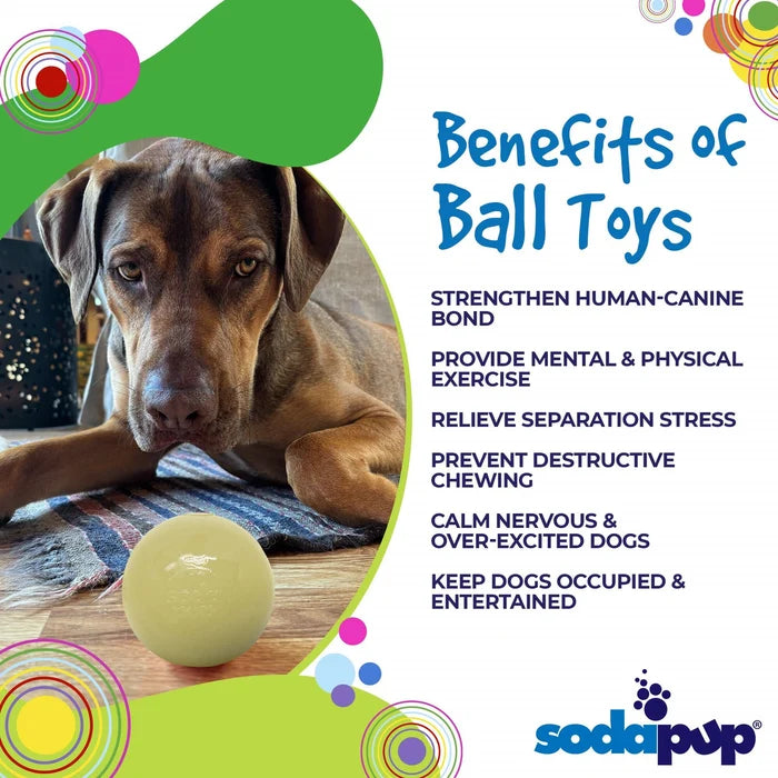 SodaPup PUP-X Squeaker Ball Dog Fetch Toy Glow in the Dark Large