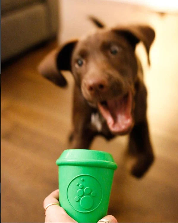 SodaPup Rubber Coffee Cup Durable Dog Chew Toy Green Large 4"