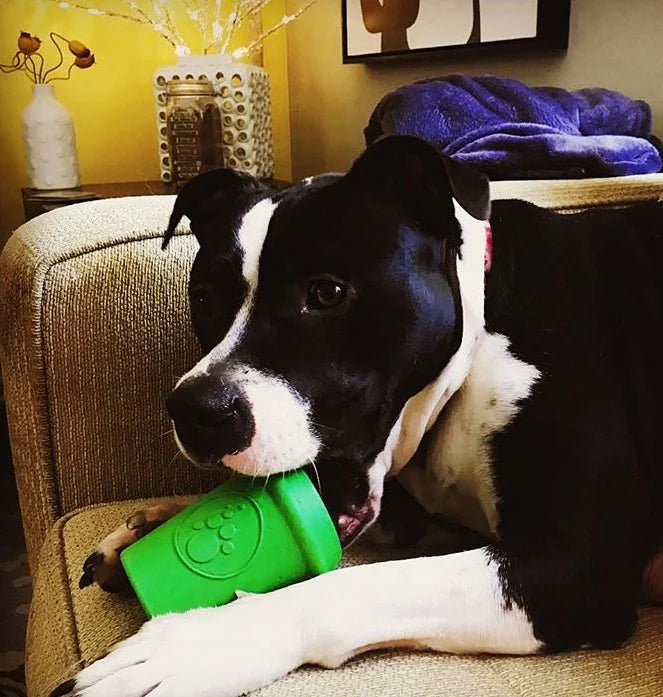 SodaPup Rubber Coffee Cup Durable Dog Chew Toy Green Large 4"