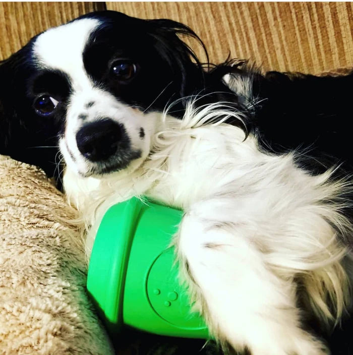 SodaPup Rubber Coffee Cup Durable Dog Chew Toy Green Large 4"