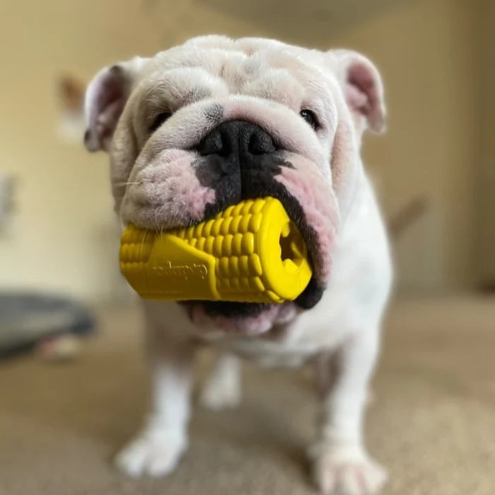 SodaPup Rubber Corn on the Cob Durable Dog Chew Toy Yellow Large 4.75"
