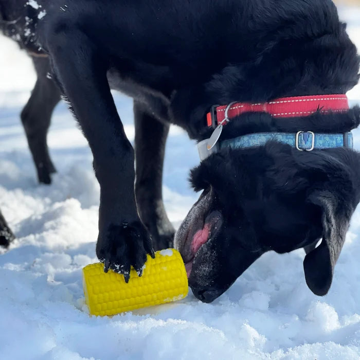 SodaPup Rubber Corn on the Cob Durable Dog Chew Toy Yellow Large 4.75"