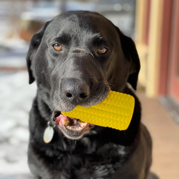 SodaPup Rubber Corn on the Cob Durable Dog Chew Toy Yellow Large 4.75"