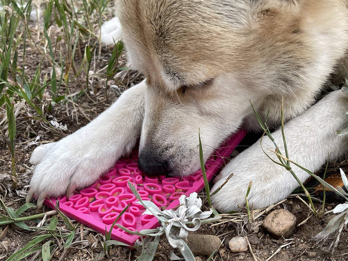 SodaPup TPE eMat Enrichment Lick Mat Flower Power Pink Large 8"