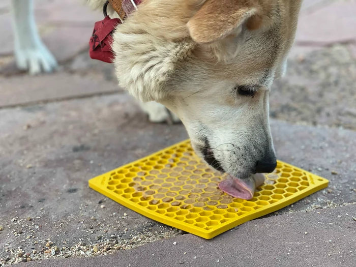 SodaPup TPE eMat Enrichment Lick Mat Honeycomb Yellow Large 8"