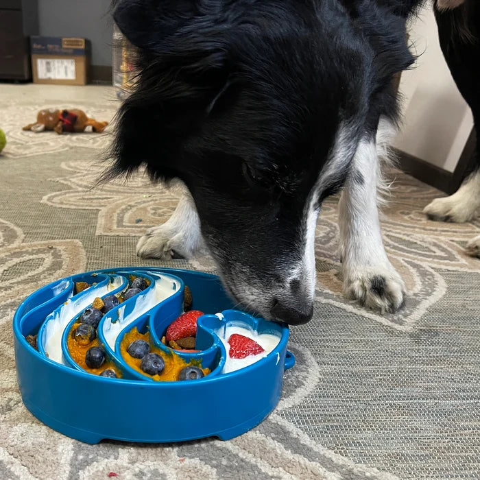 SodaPup Wave eBowl Enrichment Slow Feeder Bowl Blue 8"