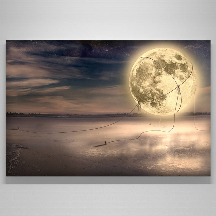 "Star Dust"