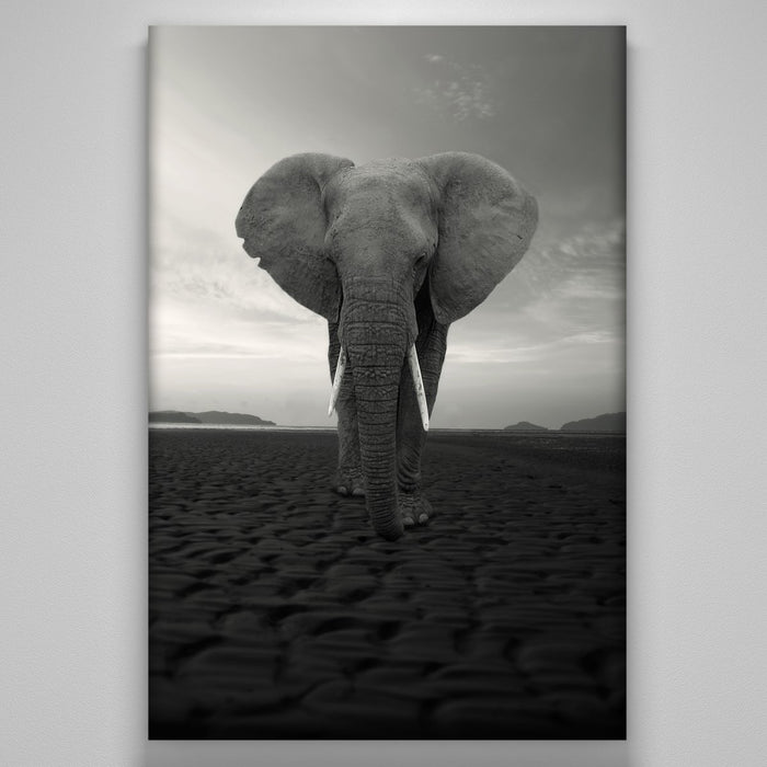 "The Elephant"