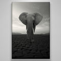 "The Elephant"