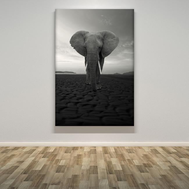 "The Elephant"