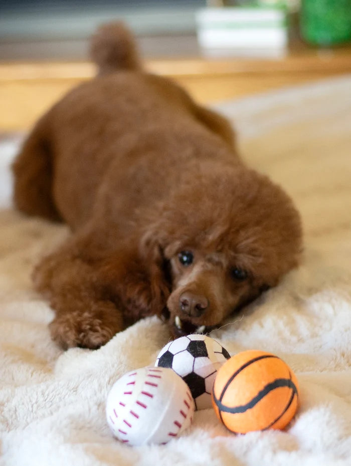 ThoozyPet 24PC PDQ - Tennis Ball Assorted (Baseball / Basketball / Soccer) Fetch Dog Toy  2.5"
