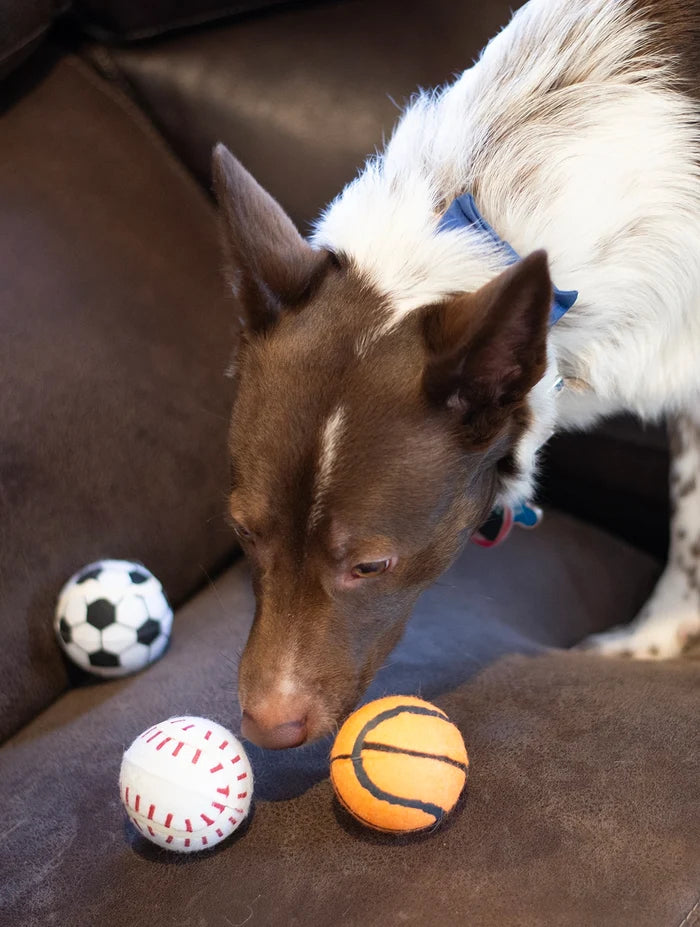ThoozyPet 24PC PDQ - Tennis Ball Assorted (Baseball / Basketball / Soccer) Fetch Dog Toy  2.5"