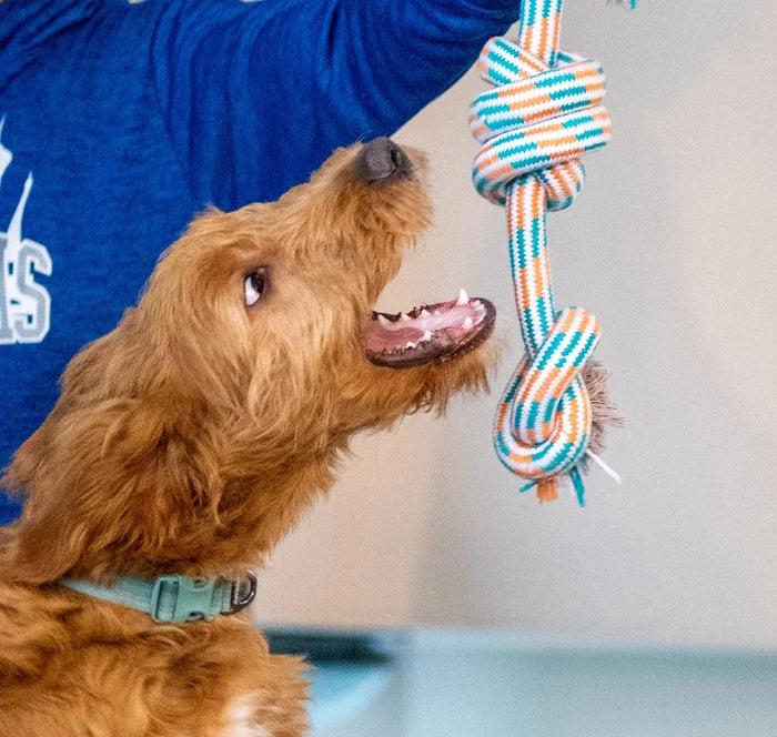 ThoozyPet 3-Knot Rope Dog Toy Orange / Teal 25"