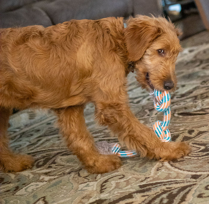 ThoozyPet 3-Knot Rope Dog Toy Yellow / Pink 25"