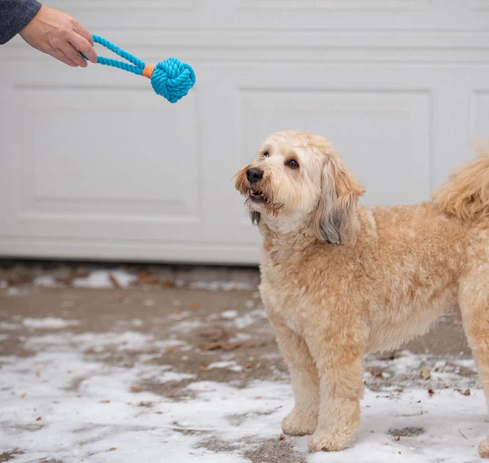 ThoozyPet Ball Tug Rope Dog Toy with Handle Blue 3"