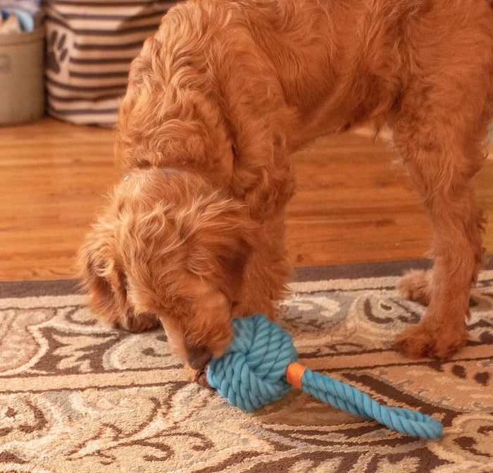 ThoozyPet Ball Tug Rope Dog Toy with Handle Blue 5"