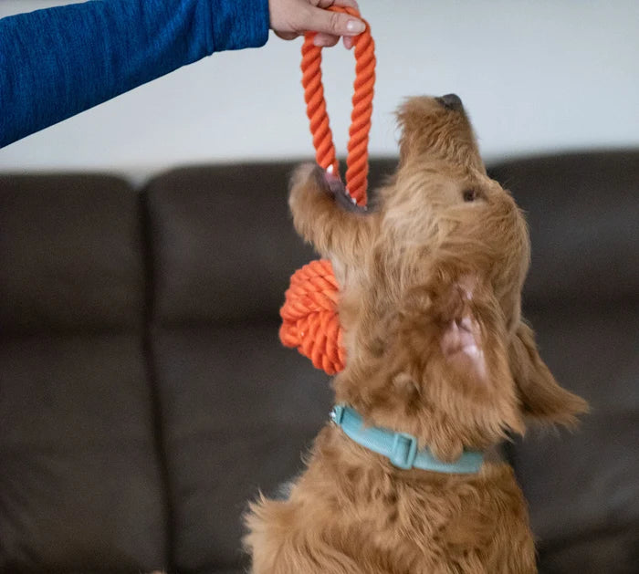 ThoozyPet Ball Tug Rope Dog Toy with Handle Orange 5"