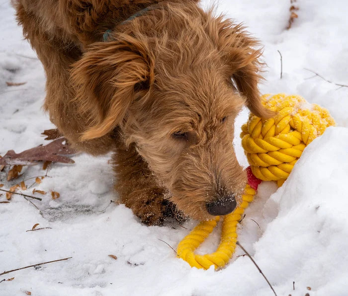 ThoozyPet Ball Tug Rope Dog Toy with Handle Yellow 5"