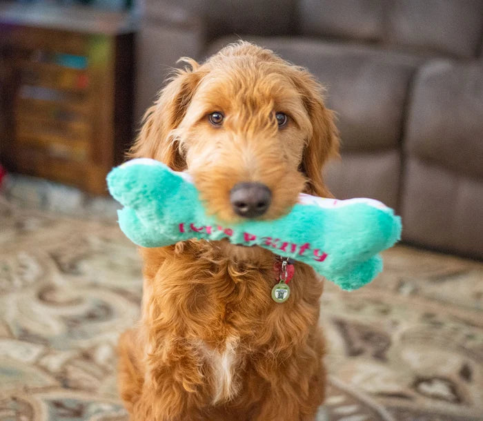 ThoozyPet Birthday Bone Large Plush Dog Toy 11"