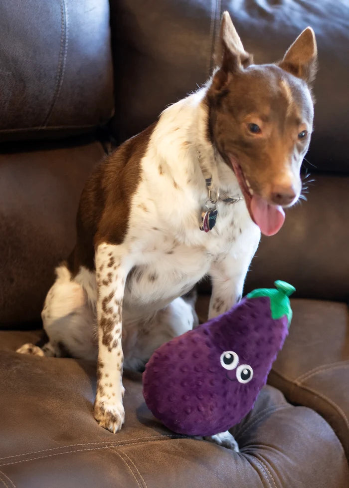 ThoozyPet Eggplant Plush Dog Toy 10"