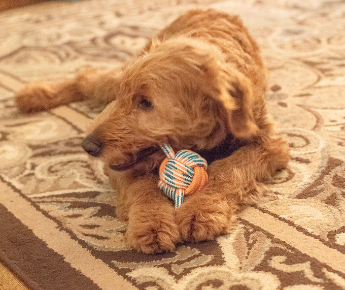 ThoozyPet Figure 8 Knot Ball Rope Dog Toy Yellow / Pink 11.5"