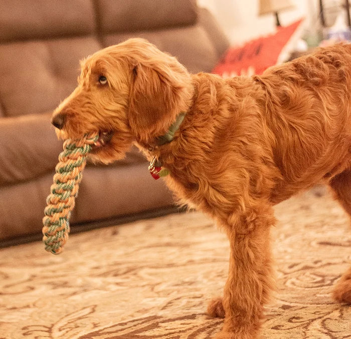 ThoozyPet Knotted Fetch Stick Rope Dog Toy Orange / Teal 12.5"