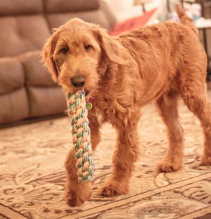 ThoozyPet Knotted Fetch Stick Rope Dog Toy Yellow / Pink 12.5"